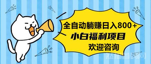 迈乐基：投低利高，上手简单，一对一教学，长久稳定。