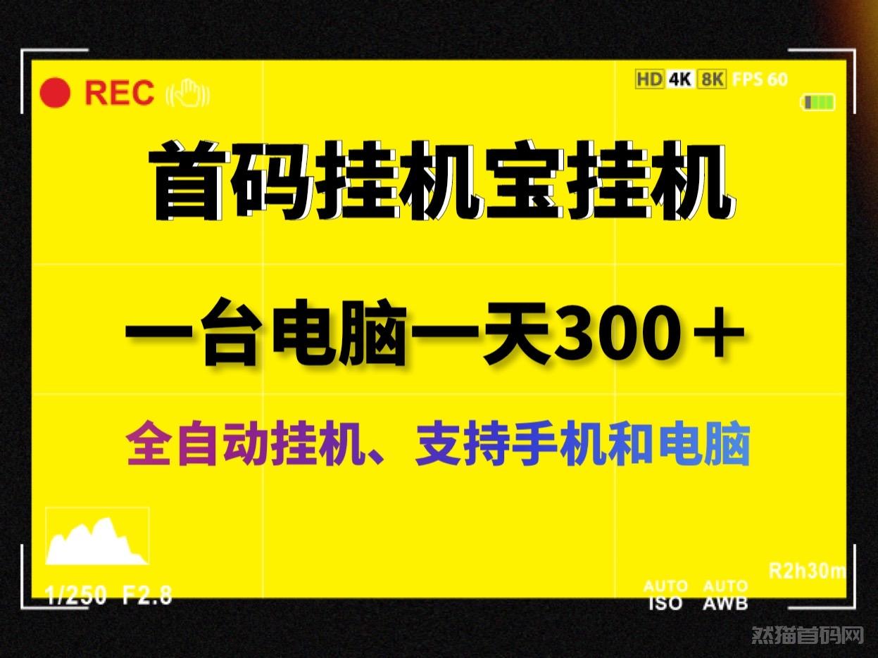 最新挂机宝全自动手机电脑挂机日收益300＋支持手机和电脑无限挂机