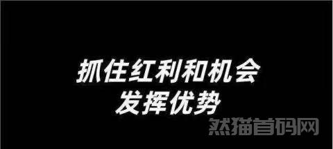 支点抖音黑科技主站丨三分钟了解变现模式攻略，项目细节一目了然！