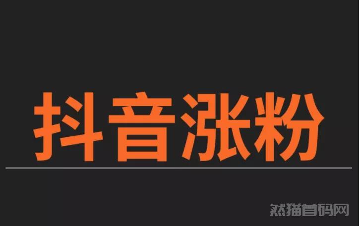 抖音黑科技兵马俑主站（支点科技app）账号涨粉神器，百万粉丝的账号也是轻轻松松